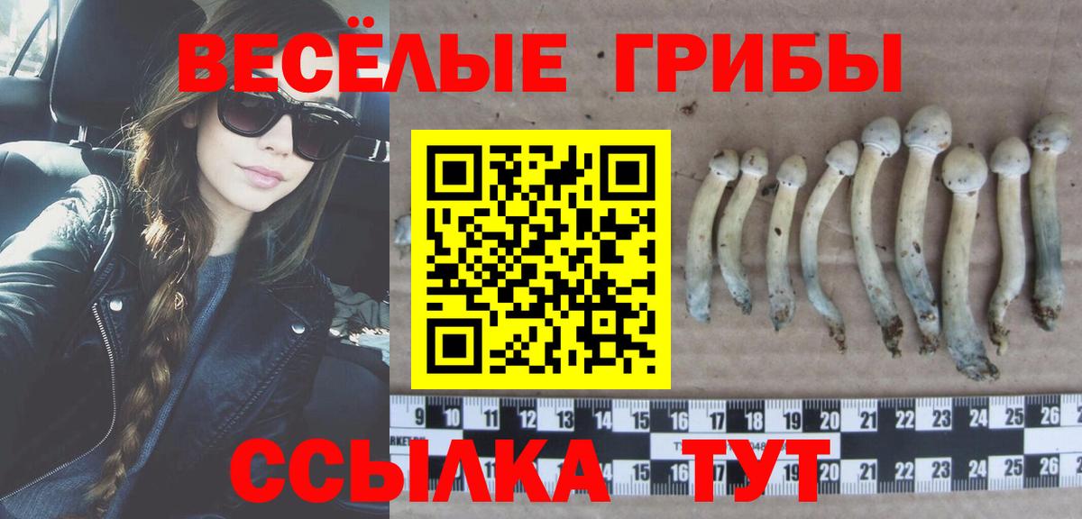Псилоцибиновые грибы мицелий  Вход с VPN  цена наркотик  Гатчина 